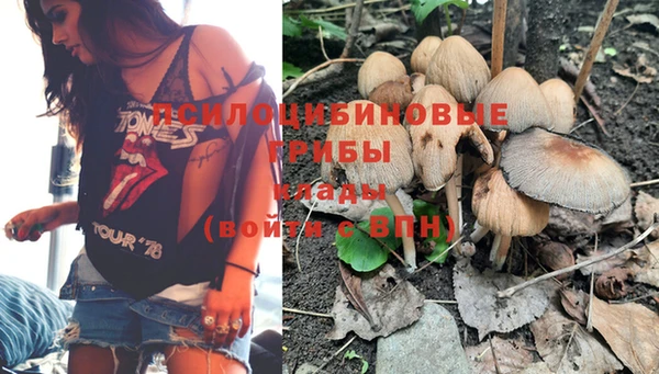 прущая мука Белокуриха