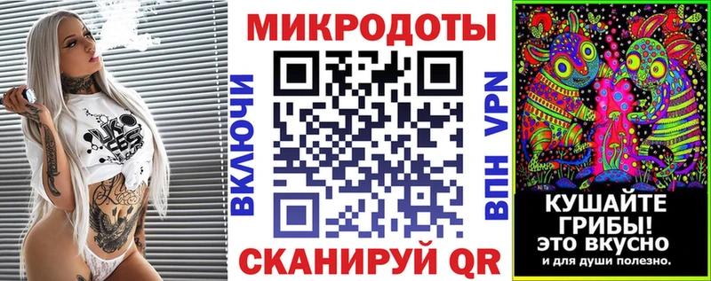 дарнет шоп  Тайшет  Галлюциногенные грибы Psilocybine cubensis 